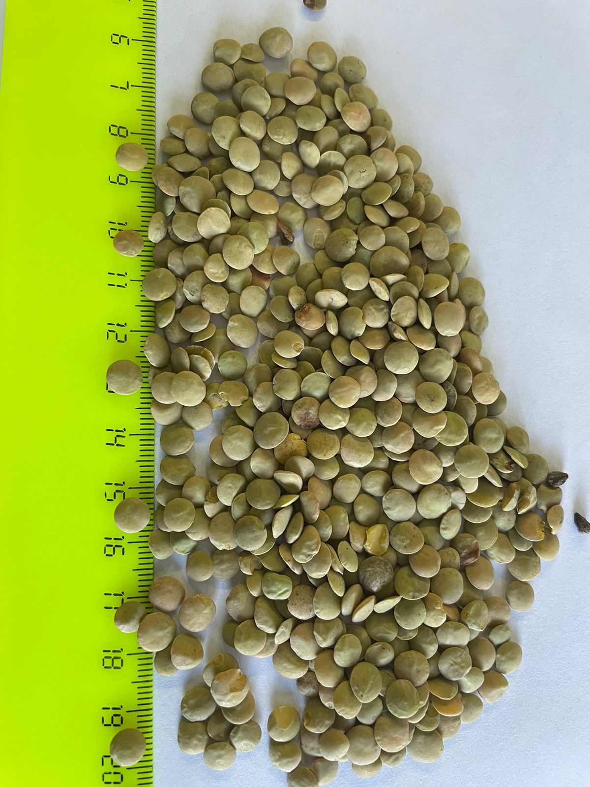 pulses from Russia